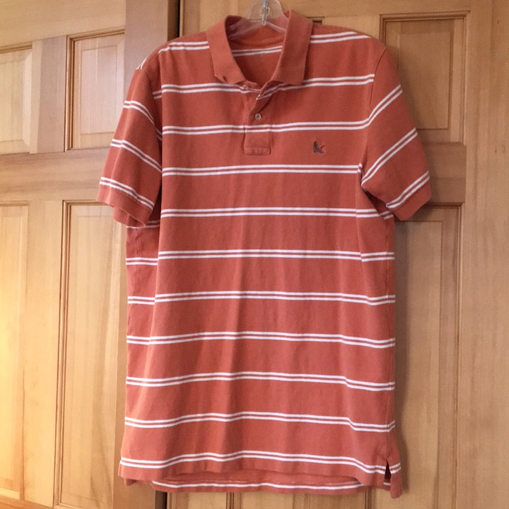Large Tall Eddie Bauer polo